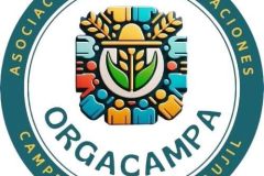 FB_IMG_1764248386456