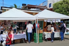 FB_IMG_1764274033506_edit_59726095660328