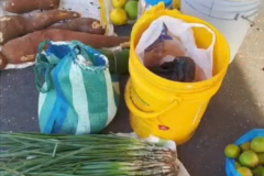 Screenshot_20251109_171240_com_facebook_katana_ImmersiveActivity_edit_59966891982881