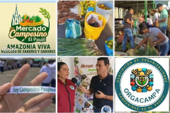 WhatsApp-Image-2025-12-02-at-3.29.37-AM-1