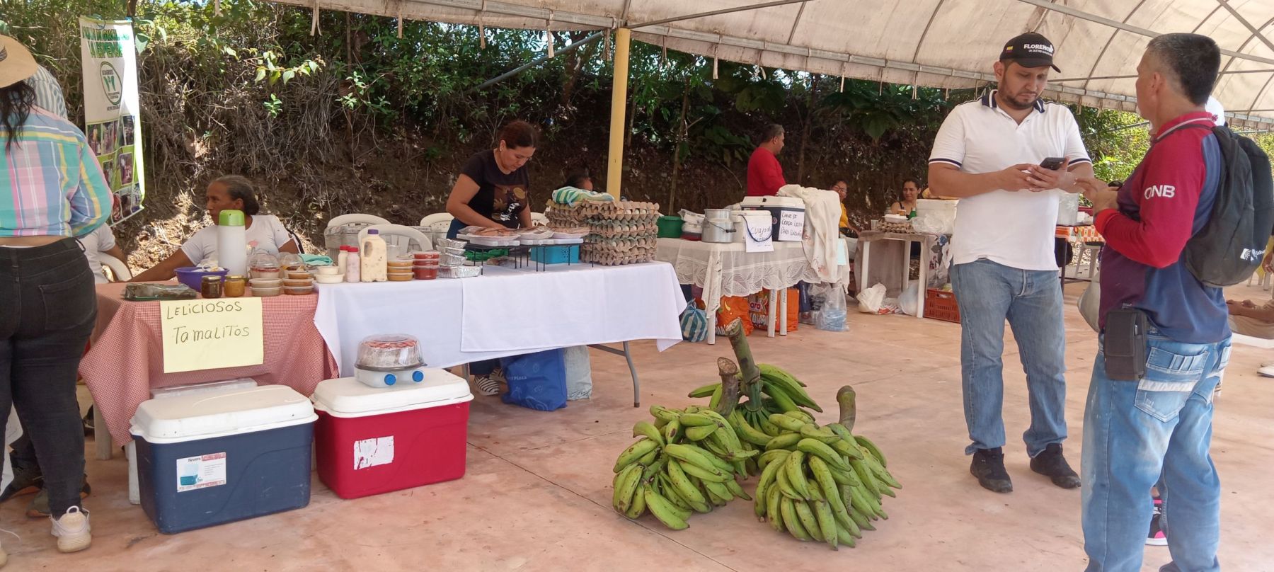 Consumidor Local