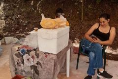 Productor Local