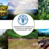 Combatir la deforestación en la Amazonía : Fondo Verde para el Clima aprueba US $ 28 millones para ayudar a Colombia